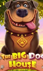 The Big Dog House